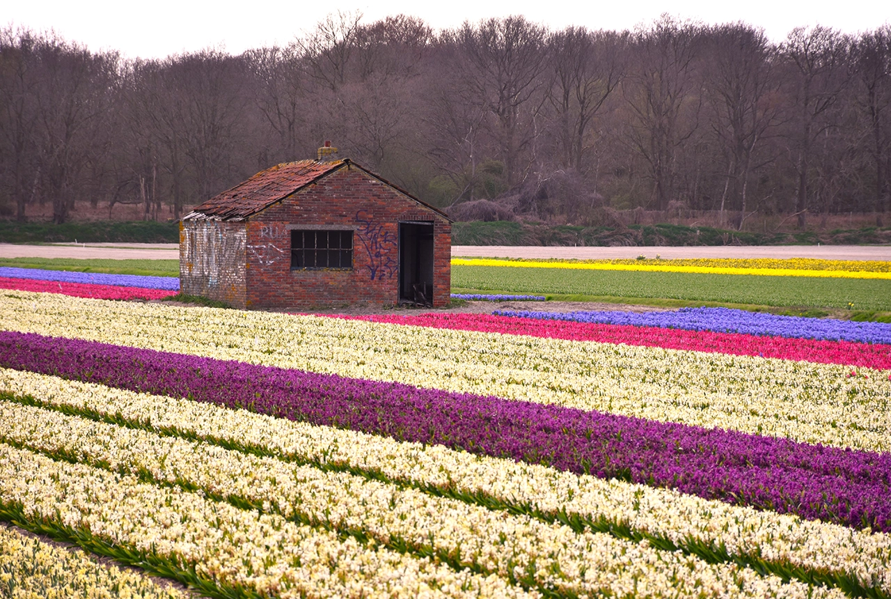 PORTOFOLIO image 16 Paysages MiaFled