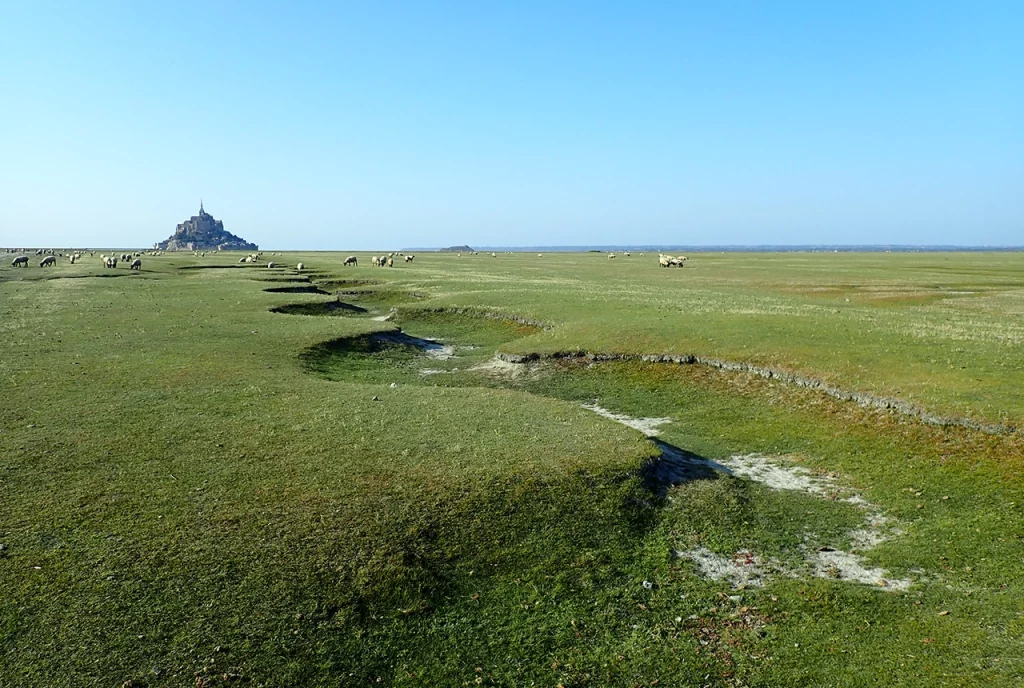 PORTOFOLIO image 23 Paysages MiaFled