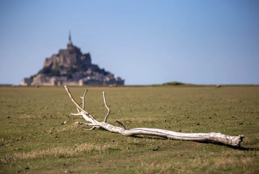 PORTOFOLIO image 24 Paysages MiaFled