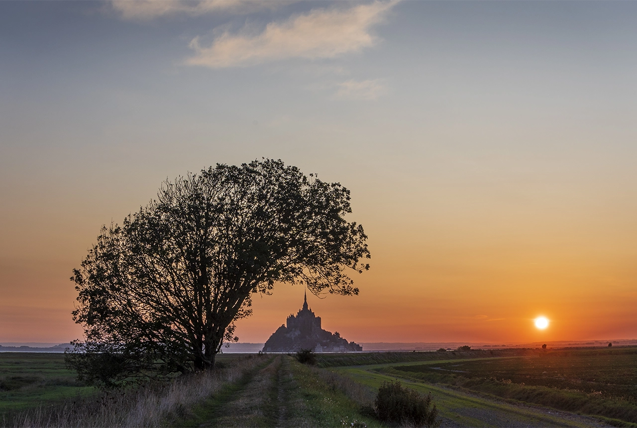 PORTOFOLIO image 3 Paysages MiaFled