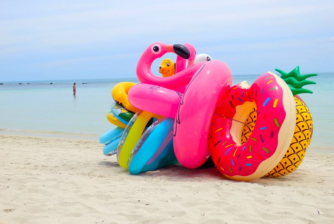 PORTOFOLIO image 9 Couleurs Vives MiaFled